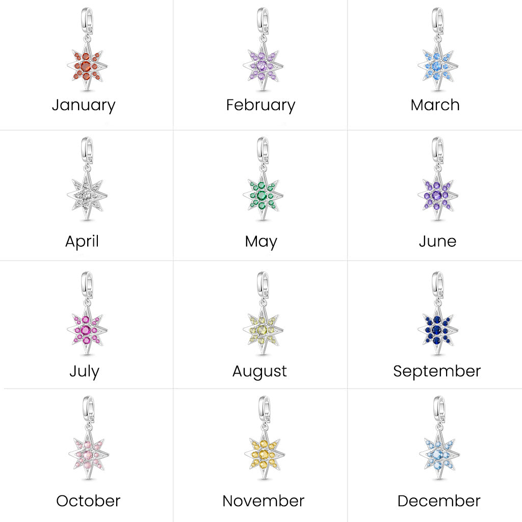 Gnoce Birthstone CZ North Star Clasp Clusters Charm_7