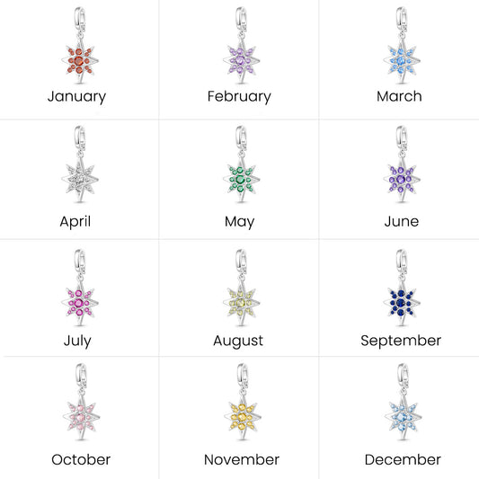 Gnoce Birthstone CZ North Star Clasp Clusters Charm_7