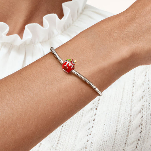 Gnoce Christmas Red Apple House Charm_2