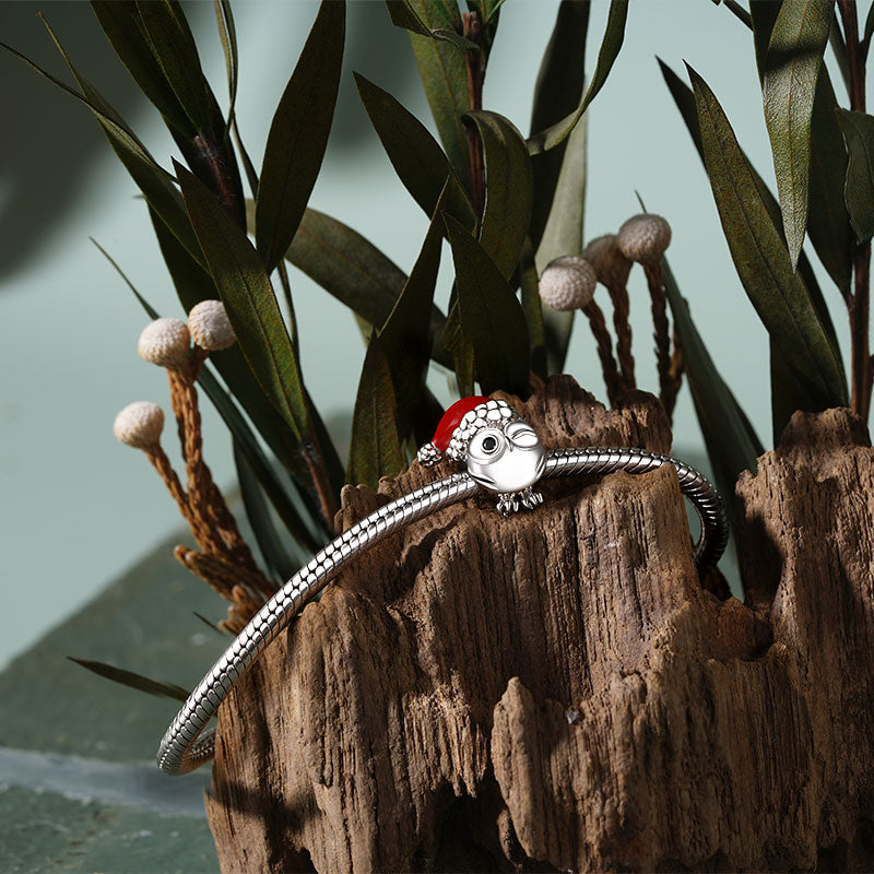 Gnoce Owl with Santa Hat Gift Charm_3