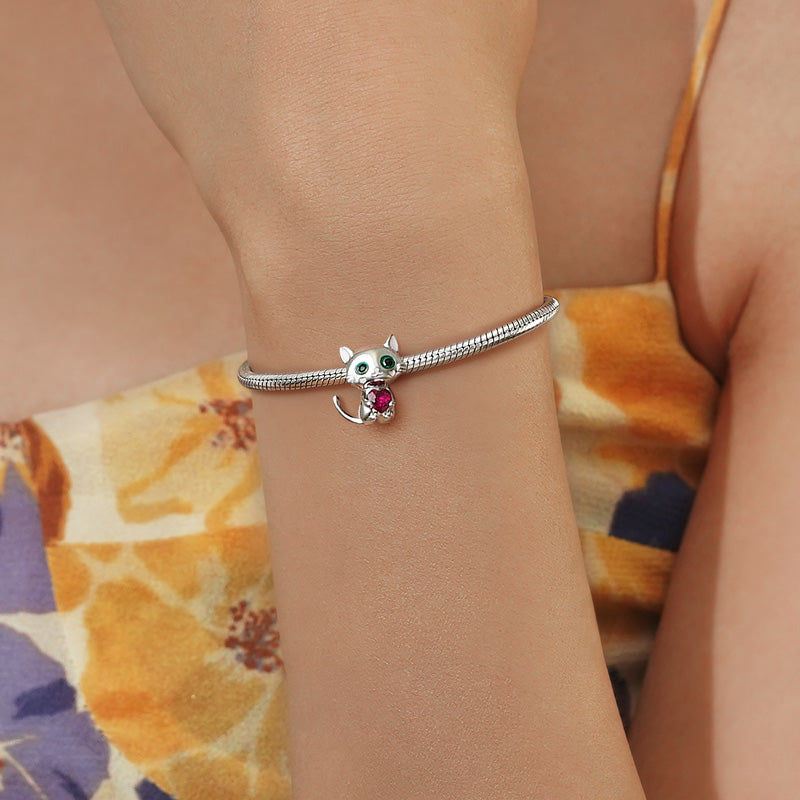 Gnoce Cat  Embraces Heart Gem Charm_5