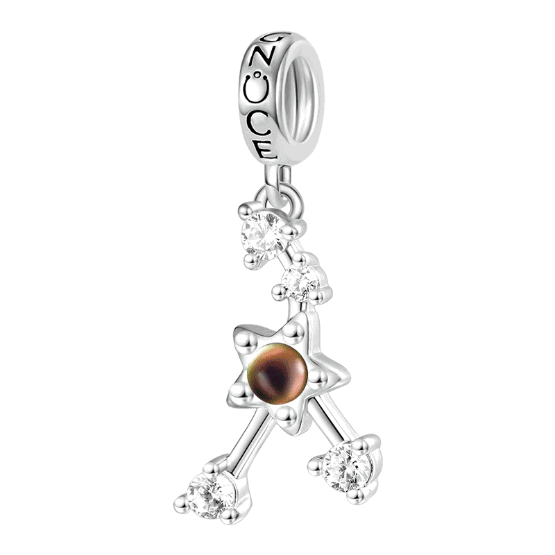 Gnoce Zodiac Sign Mood Pendant Dangle Charm_1