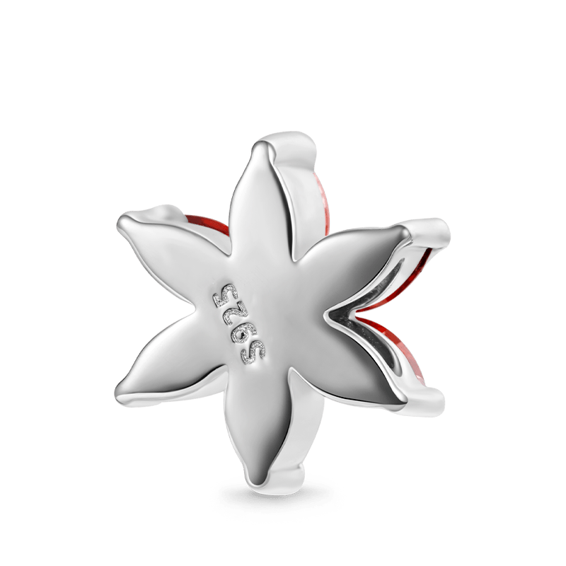 Gnoce Snowflake Birthstone Charm_2
