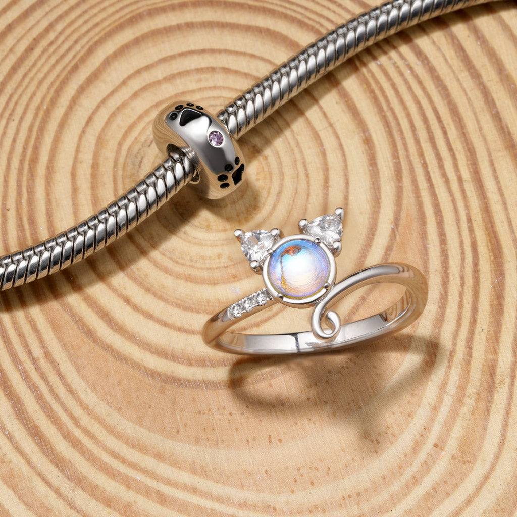 Gnoce Pet Paw Prints Birthstone Stopper Charm_4