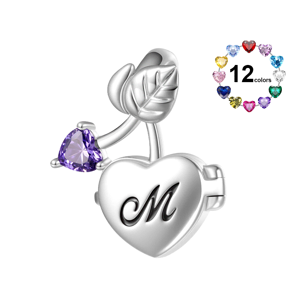 Gnoce Cherry Heart Birthstone Personalized Photo Charm_6