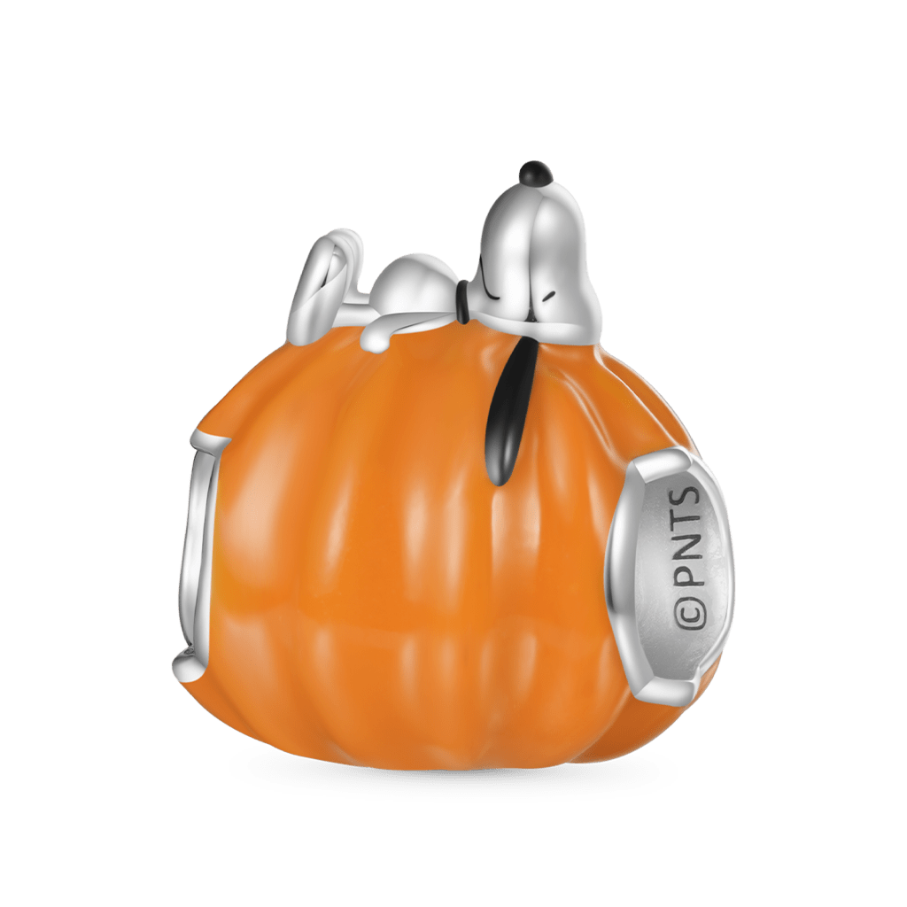 Gnoce Peanuts Halloween Snoopy Pumpkin Charm_2