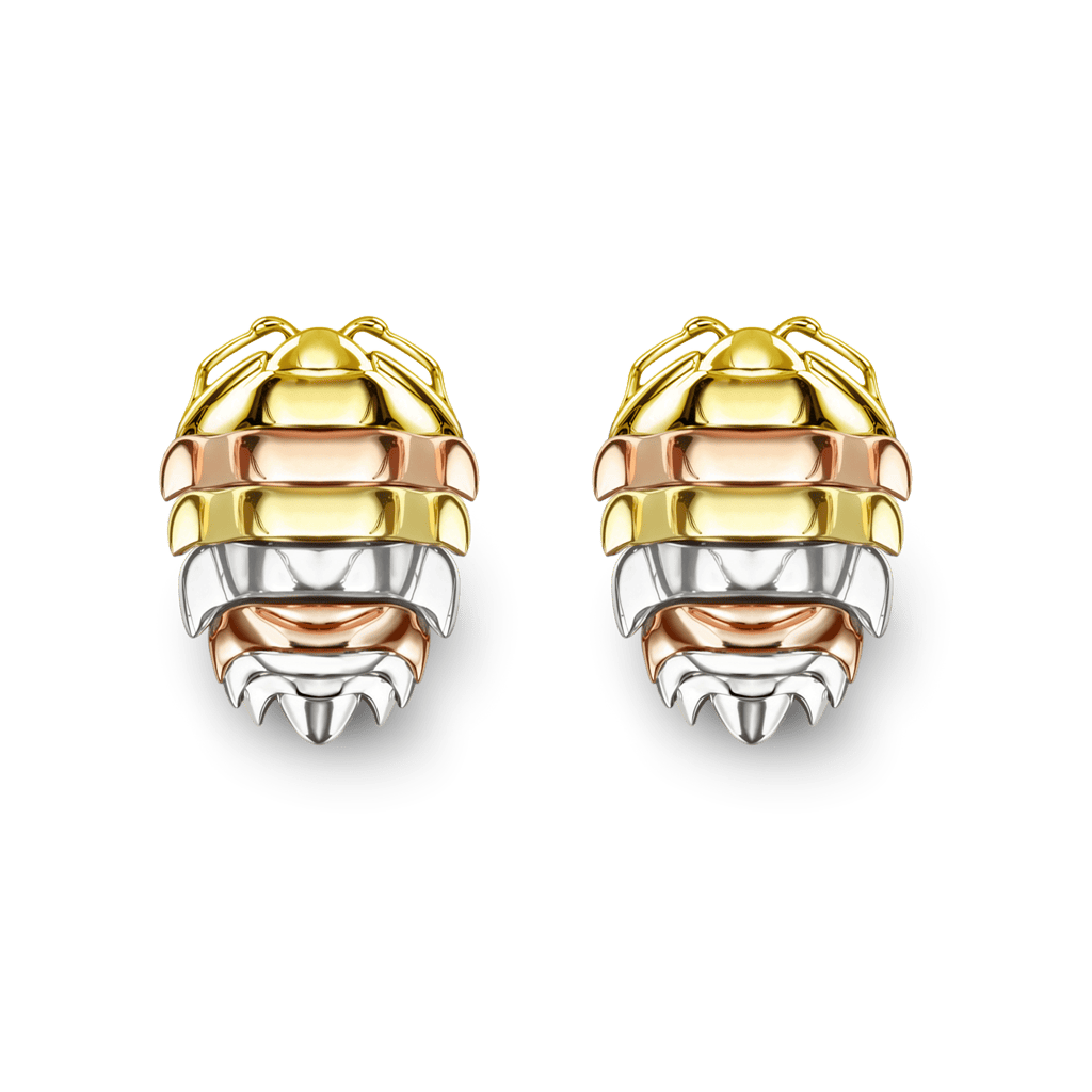 Gnoce Rainbow Isopod Insect Stud Earrings_1