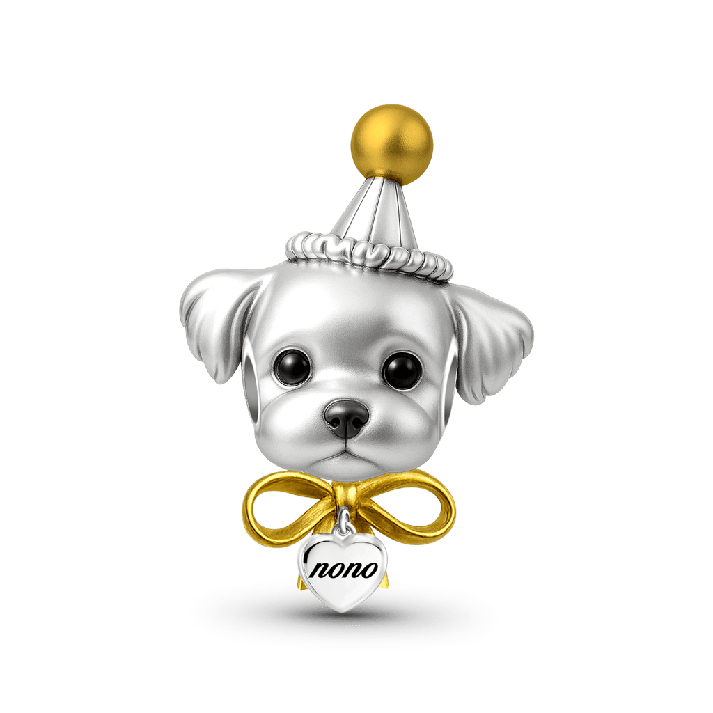 Gnoce Engravable Puppy Birthday Charm_1