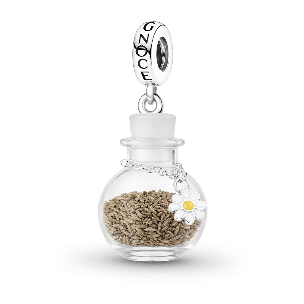 Gnoce Daisy Seed Wishing Bottle Pendant Dangle Charm_1